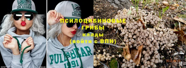 ГАЛЛЮЦИНОГЕННЫЕ ГРИБЫ Протвино