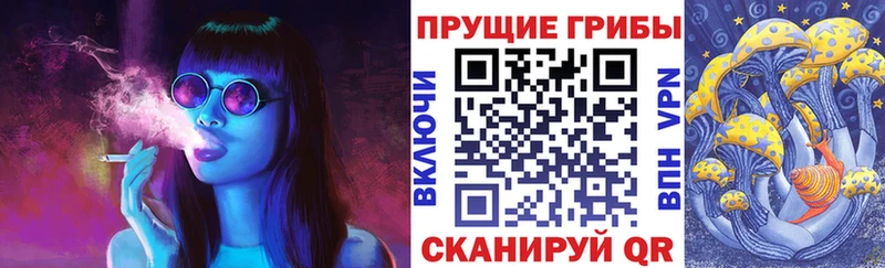 Псилоцибиновые грибы Psilocybe  купить наркоту  Сковородино 